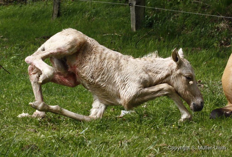 Hjoerdis 19 Min alt (3).JPG